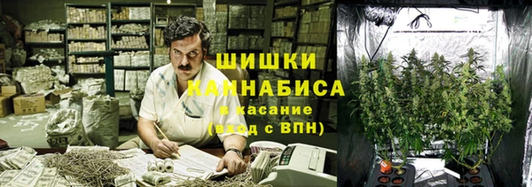 круглые Алзамай